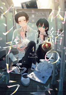 Naisho no Cinderella