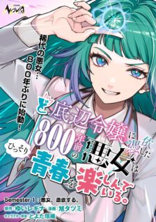 Doteihen Reijou ni Hyoui Shita 800-nen Mae no Akujo wa Hissori Seishun wo Tanoshinde Iru