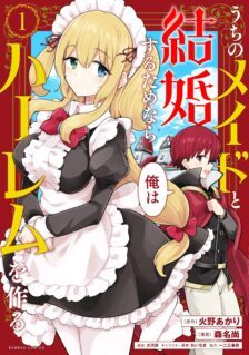 Uchi no Maid to Kekkon suru Tamenara ore wa Harem wo Tsukuru