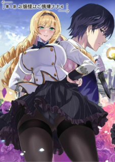 Uchi no Ojou-sama no Hanashi wo Kiitekure –Akuyaku Reijou Kouryaku Kiroku–