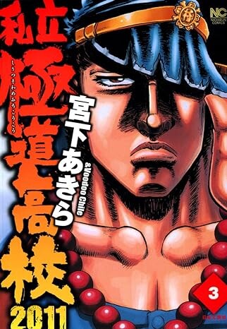 Private Yakuza High School 2011