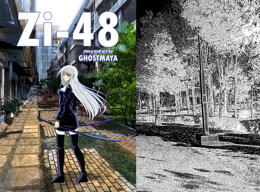 Zi-48