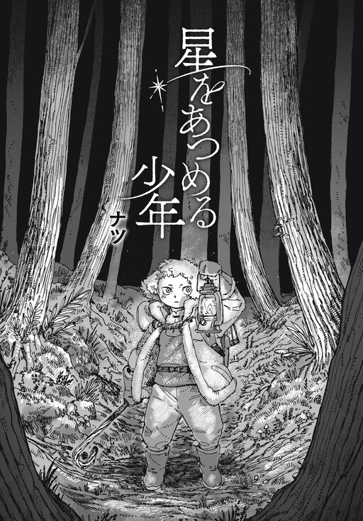 The Boy Who Collects the Stars