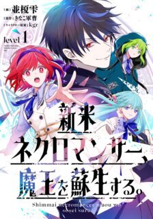 Shinmai Necromancer, Maou wo Sosei suru