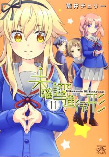 Mikakunin de Shinkoukei