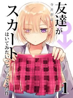 The Time My Friend Wanted To Try a Skirt