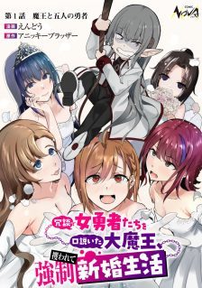 Joudan de Onna Yuusha-tachi wo Kudoita Daimaou, Sarawarete Kyousei Shinkon Seikatsu